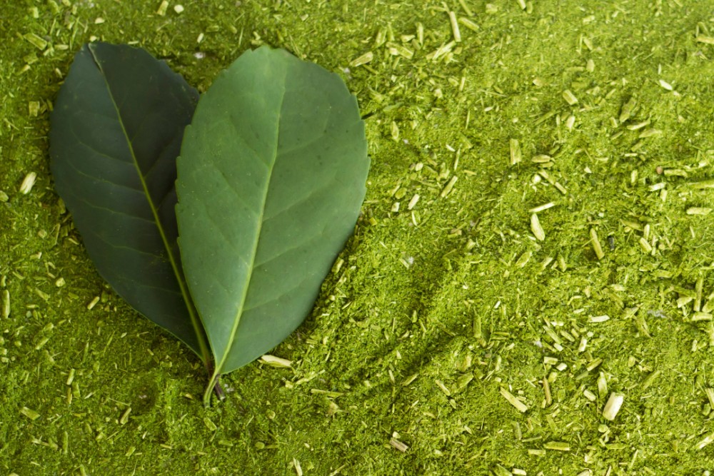 Análise de Erva-Mate